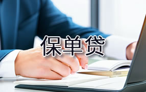 雅安保单贷