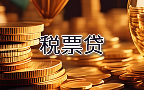 雅安税票贷